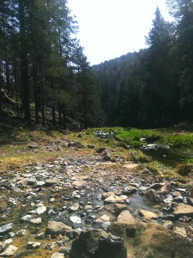 Katun Apartmani & Spa Divčibare Eksteriør bilde