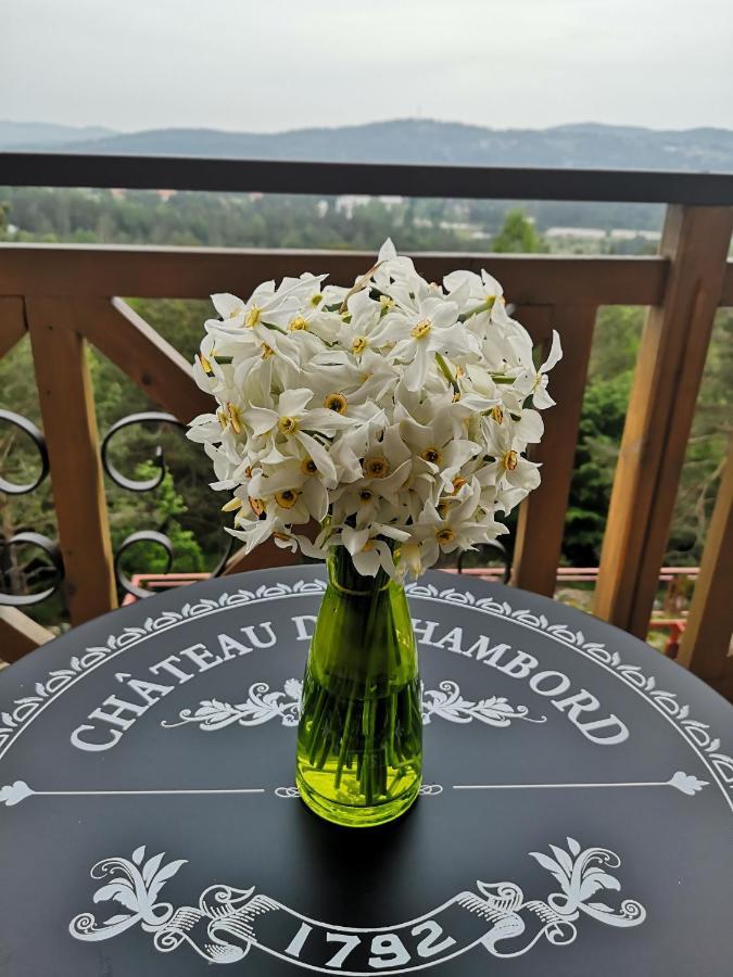 Katun Apartmani & Spa Divčibare Eksteriør bilde
